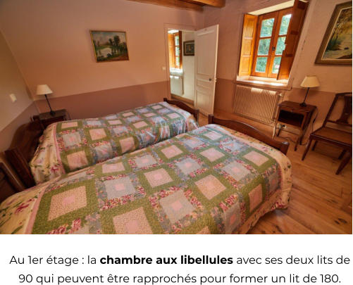 Au 1er tage : la chambre aux libellules avec ses deux lits de 90 qui peuvent tre rapprochs pour former un lit de 180.